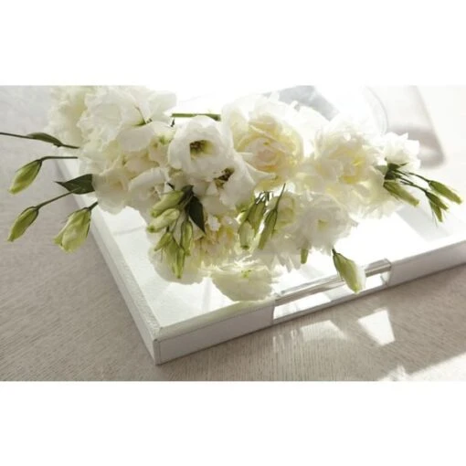 Allure Coffee Table - Image 5