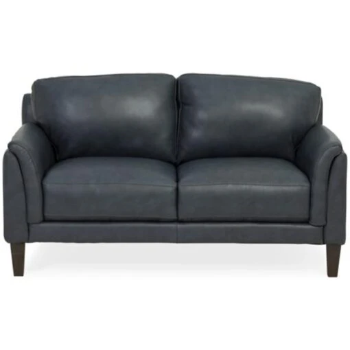 Lucia Leather Loveseat