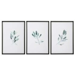 Botanical Study Set/3 Wall Art