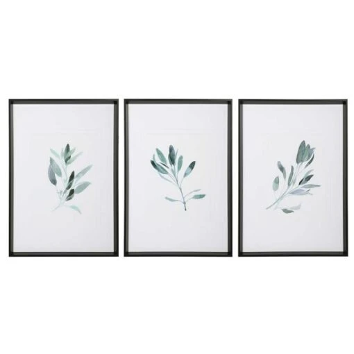 Botanical Study Set/3 Wall Art