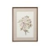 Watercolour Foliage II Wall Art -Home Decoration Shop ST749367 a